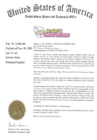 USA Patent